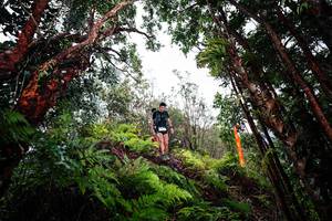 BIB: 
                            <button type="button" onclick="openModal(26201823)" class="btn btn-primary btn-sm float-right btn-popup" data-toggle="modal" data-target=".modal-high-quality">
                        <i class="fas fa-shopping-cart"></i> Add to Cart
                    </button>
                                            <button type="button" onclick="isThisMe(26201823, true)" class="btn btn-success btn-sm float-right btn-popup btn-isme hidden" data-toggle="tooltip" data-placement="bottom" title="นี่คือรูปของคุณใช่ไหม คลิกที่นี่เพื่อเอาเข้าอัลบั้ม">
                        <i class="fas fa-plus"></i> Add to album
                    </button>
                    <button type="button" onclick="isThisMe(26201823, false)" class="btn btn-warning btn-sm float-right btn-popup btn-isnotme hidden">
                        <i class="fas fa-ban"></i> Remove from album
                    </button>